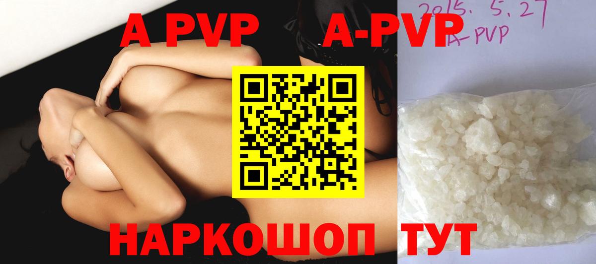 A PVP СК Камышин